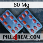60 Mg 05